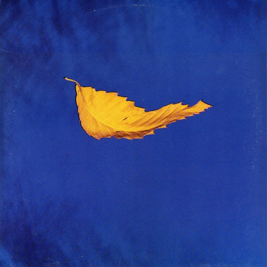 New Order – True Faith / 1963