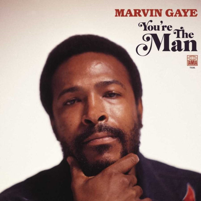 MARVIN GAYE / YOU'RE THE MAN