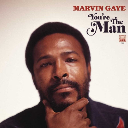 MARVIN GAYE / YOU'RE THE MAN