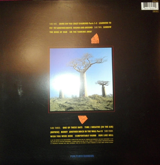 Pink Floyd / Delicate Sound Of Thunder