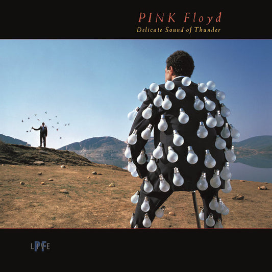 Pink Floyd / Delicate Sound Of Thunder