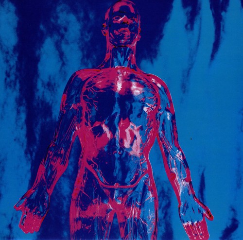 NIRVANA / Sliver
